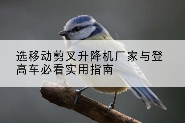 内乡电动升降机厂家-选移动剪叉升降机厂家与登高车必看实用指南