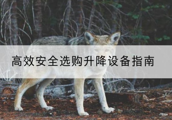 内乡升降货梯厂家推荐-*安全选购升降设备指南
